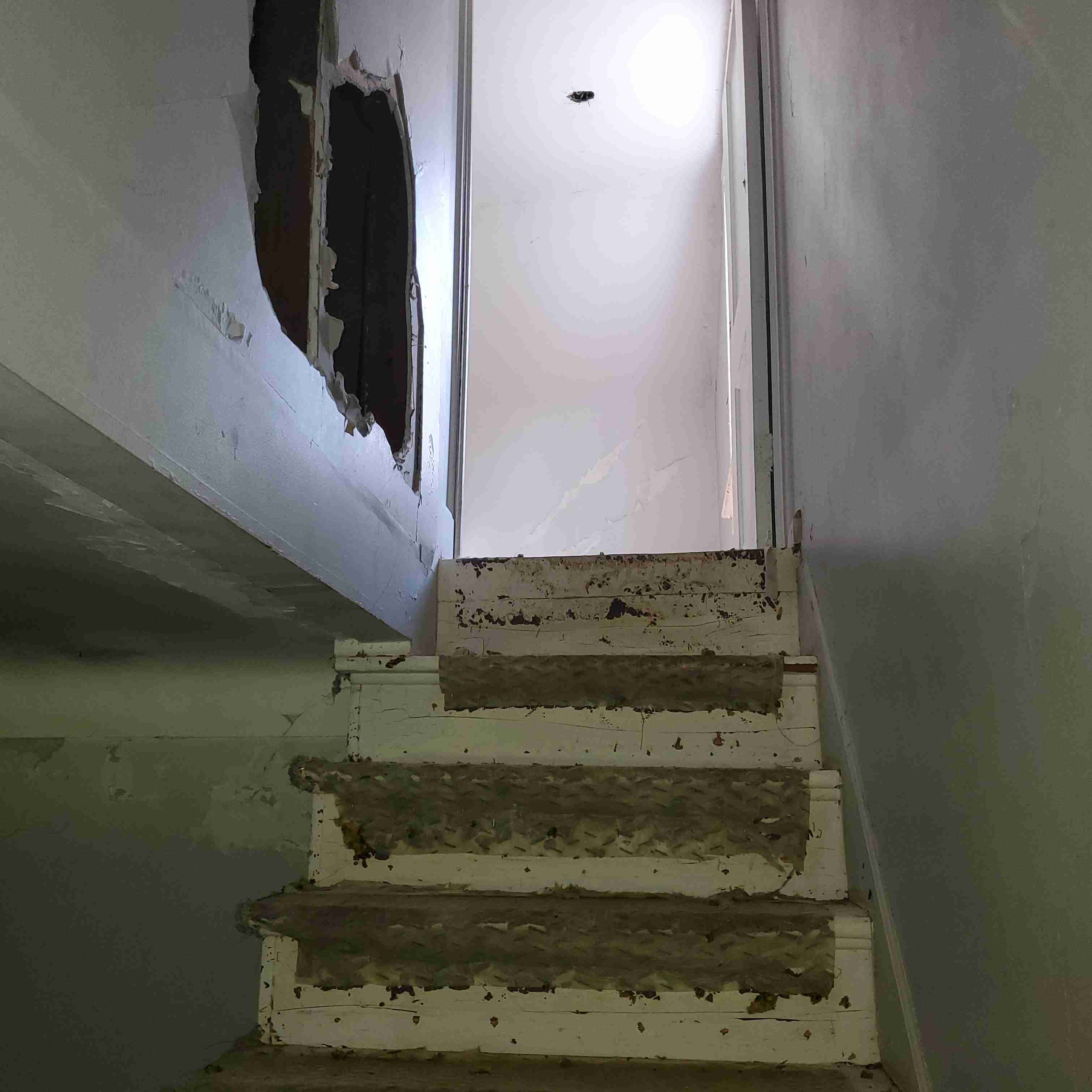 20200819_140551 (2).jpg